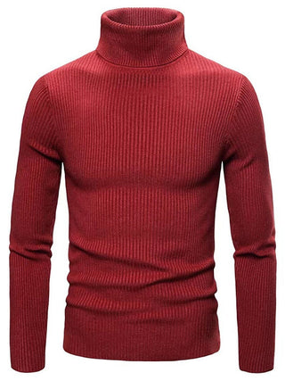 Herren Rippstrick Pullover | Rollkragen