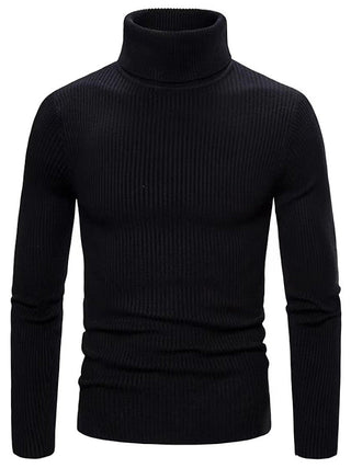 Men's ribbed knit sweater | turtleneck