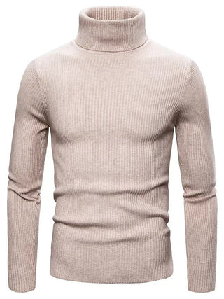 Herren Rippstrick Pullover | Rollkragen